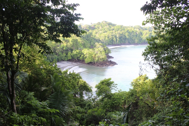 View of the beach from one of the hiking trails