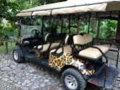 CR golf cart
